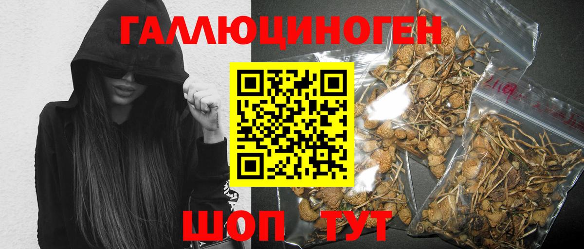 Галлюциногенные грибы мухоморы  Псилоцибиновые грибы мухоморы  Вход с VPN  Санкт-Петербург 